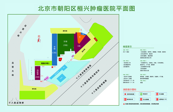 插逼免费网站北京市朝阳区桓兴肿瘤医院平面图